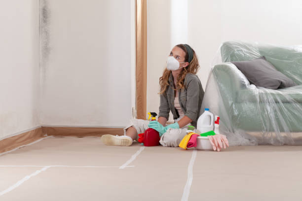 Reliable Attic Mold Remediation contractor in Princeton, TX by 24 Hour Mold Removal